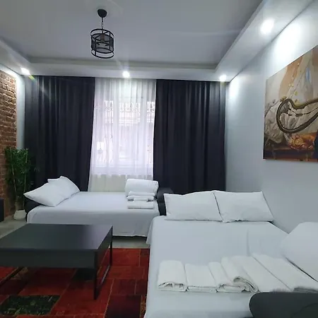 Flat In Historical Area In Sultanahmet شقة *