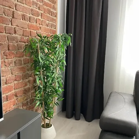 公寓 Flat In Historical Area In Sultanahmet *